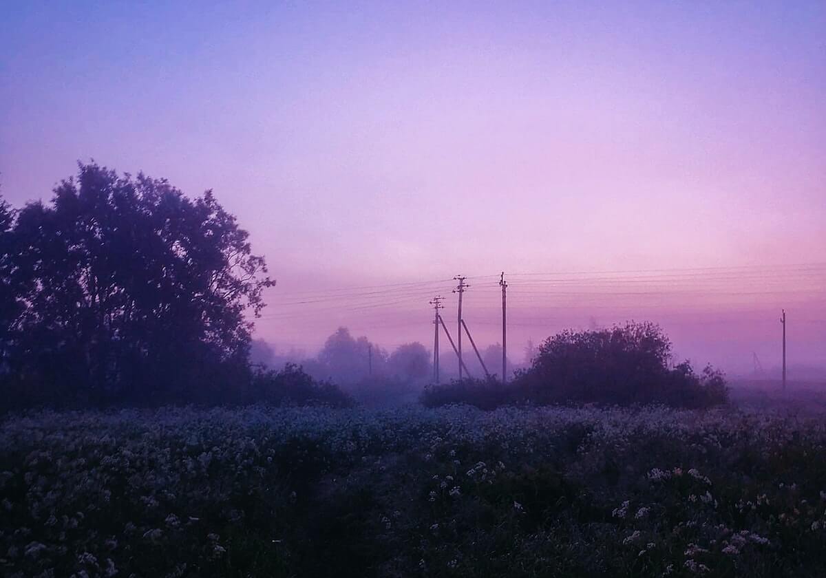 看似简单却危险——黑料——如何识别水军矩阵?看完再决定|保护隐私(信息溯源)