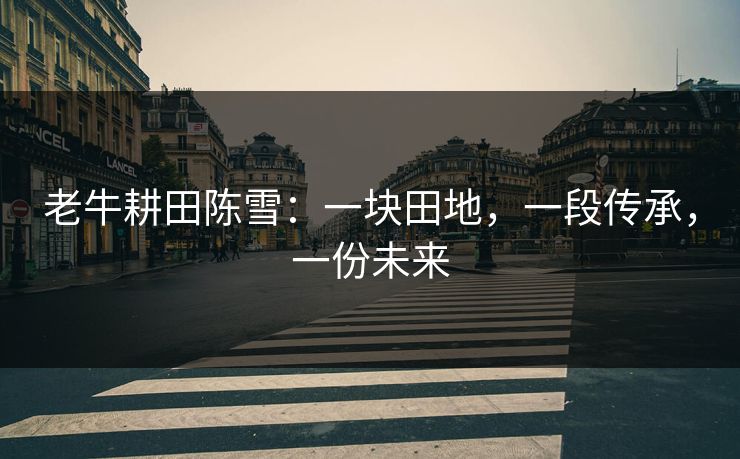 老牛耕田陈雪：一块田地，一段传承，一份未来