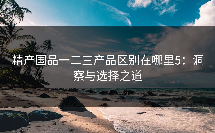精产国品一二三产品区别在哪里5：洞察与选择之道