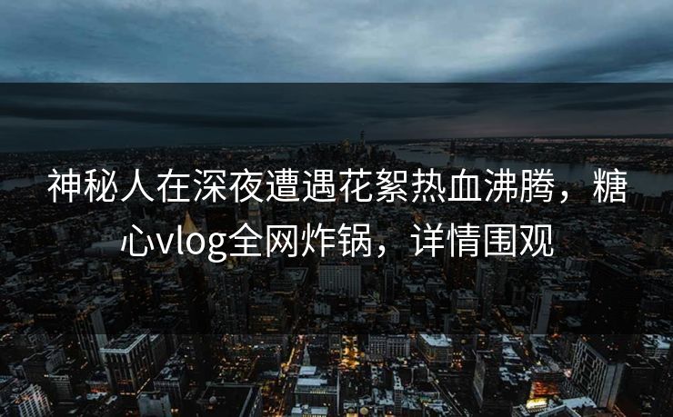 神秘人在深夜遭遇花絮热血沸腾，糖心vlog全网炸锅，详情围观